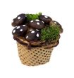 Wichtel Zubehör Körbchen Korb Pilze Weihnachten Miniatur Krippe 3,5 cm 1