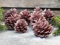 Pinienzapfen Rose 3-5 cm Ø Streudeko Weihnachten 8 Stück 2