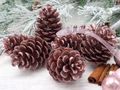 Zapfen Metallic Streudeko Basteln Adventskranz Weihnachten  3
