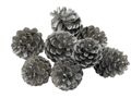 Pinienzapfen Metallic Silber 3-5 cm Ø Streudeko Weihnachten 8 Stück 1