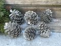 Pinienzapfen Metallic Silber 3-5 cm Ø Streudeko Weihnachten 8 Stück 3