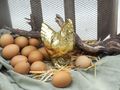 Keramik Dekofigur Hahn oder Henne Huhn Gold Ostern Frühling Deko 16cm Hoch 4