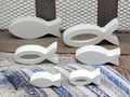 6er Set Deko Fisch Weiß aus Holz - Tischdeko für Junge Mädchen Taufe Kommunion Konfirmation  4