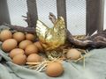Hühnereier Natur Braun 5,5cm Deko Ostern Dekoration Tischdeko Frühling 12 Stück 2