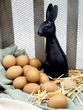 12 Stück echte ausgeblasene Eier als Osterdekoration Ostereier Frühling Deko 3