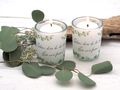 Zwei Kerzen mit Windlicht Glas Motiv Bandarolle Eukalyptus und Spruch 