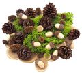 Streudeko Deko Herbst MIX Tischdeko Eicheln Moos Zapfen Basteln SET 1