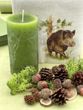 Stumpenkerze Rustic Blockkerze Kerze Adventskranz Advent Brenndauer ± 60h 3