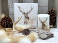 Stimmungsvolles Windlicht - Kerze für eine gemütliche und natürliche Weihnachts- und Herbstdekoration 3
