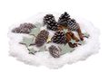Streudeko Weihnachten Zapfen Natur Sterne Salbei Grün Kunstschnee Zimtstangen Tischdeko 200g 1