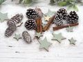 Streudeko mit Zapfen, Zimt und Kunstschnee für festliche Akzente in Ihrer Weihnachtsdekoration 3