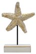 Aufsteller Seestern Gold Weiß Tischdeko 22 cm  5