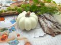 Kürbis Creme gesprenkelt Herbst Tischdeko Deko 7cm Ø 3