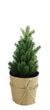 Kein Schnee Tannenbaum Deko Kunsttanne Mini im Topf Kunstschnee Glitzer Weihnachtsdeko 17cm 5