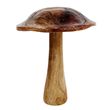 Großer Pilz Dekofigur Natur 21cm 4