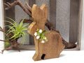 Deko Hase Holz - Mangoholz dekoriert mit Schleife & Schleierkraut - jedes Stück ein Unikat 6