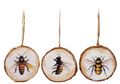 Holzscheiben Bienenmotiv Aufhänger Kordel Ø ca. 8cm Frühling Deko 3 Stück 1