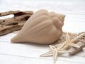 Schnecke Muschel Horn Deko Beige Tischdeko Maritim Party Strandhochzeit Garten Terrasse 16cm 4