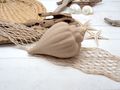 Muschel Deko Schnecke Beige Sand Look Maritime Dekomuschel Tischdeko Dekofigur  3