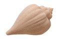 Schnecke Muschel Horn Deko Beige Tischdeko Maritim Party Strandhochzeit Garten Terrasse 16cm 1