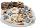 Maritimer Streumix: 500g Sand, 2m Juteseil, 2 Natur-Seesterne, 15 verschiedene Schnecken & 6 Holz-Korallen 4