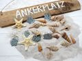 Streudeko Maritim – 500g Sand, Juteseil, Natur-Seesterne, Schnecken & Holz-Korallen – Tischdekoration für Sommer 2