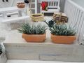Wichtel Zubehör Garden Deko Miniatur Blumenkasten Terracotta Pflanzenkübel Puppenhaus  3