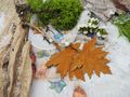 Blatt Herbst Deko Ahornblatt Mettall Rost Hängedeko Basteln 9 x 10cm 2 Stück 2