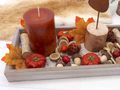 Tablett Herbst Holz Grau Orange Kürbis Deko Hirsch Rost Geschenk 40cm 5