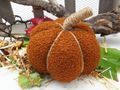 Kürbis Stoff Jute Braun Groß 15cm Herbst Tischdeko 5