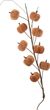 Kürbis Stoff Zweig Ocker Herbst Deko 10 Stück/Ast 70cm 2