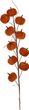 Kürbis Stoff Zweig Orange Herbst Deko 10 Stück/Ast 70cm 6