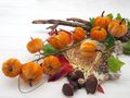 Deko Kürbis Stoff Zweig Ocker Herbst Deko 10 Stück/Ast 70cm 3