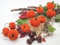 Deko Kürbis Stoff Zweig Orange Herbst Deko 10 Stück/Ast 70cm 7