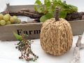 Bunt Kiste Kürbis Natur Seegras Klein Lang Herbst Tischdeko 5