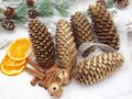Zapfen Gold Fichtenzapfen Natur Deko Basteln Weihnachten Tischdeko  2