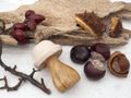 Deko. Pilze aus Mango Holz– herbstliche Tischdeko, Natur- und Walddeko für Zuhause 7