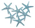 Seesterne Klein Hellblau Streudeko Maritime Dekoration Hochzeit Home Tischdeko Basteln 6 Stück 5,5cm 1