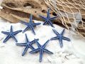 Seesterne Klein Blau Dunkelblau Streudeko Maritime Deko Strandhochzeit Beach Party Sommer 3