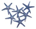 Seesterne Klein Dunkelblau Streudeko Maritime Dekoration Hochzeit Home Tischdeko Basteln 5 Stück 5,5cm 1