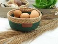 Aufbewahrungskorb aus Seegras mit Baumwolle Grün Deko Korb im Boho Stil Skandinavisch 2