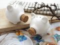 Salz- und Pfefferstreuer Schweine mit Kork Nase Küche Restaurant 4