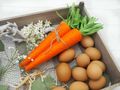 Orangefarbenen Möhren Karotten für Ostern und Frühling Dekorationen 3