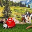 Geschenk für Reise nach Schweiz - für Rente Geburtstag Weihnachten Jubiläum Hochzeit 3