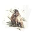 Servietten Steinbock Murmeltier Berg Braun Deko Tischdeko 33 x 33 cm 20 Stück 1