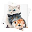Servietten Drei Katzen Schwarz Weiß Orange Kuscheln Deko Tischdeko 33 x 33 cm 20 Stück 1