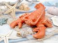 Deko Figur Hummer aus Steingut lackiert in Korallenfarbe als Tischdeko Geschenk Maritime Deko Sommer 3