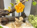 Holz Aufstellar Blume in Gelb - Geschenk für Mutter, Kollegin, Freundin als kleines Dankeschön, Frühling Ostern Deko 5