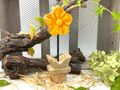 Deko Aufsteller Blume Gelb Mangoholz Tischdeko Geschenkidee Frühling Sommer Herbst Muttertag 4