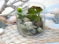 Kunstpflanze Sukkulente Glas Deko Badezimmer Küche Terrasse Wohnzimmer Balkon Schlafzimmer  Tischdeko 2